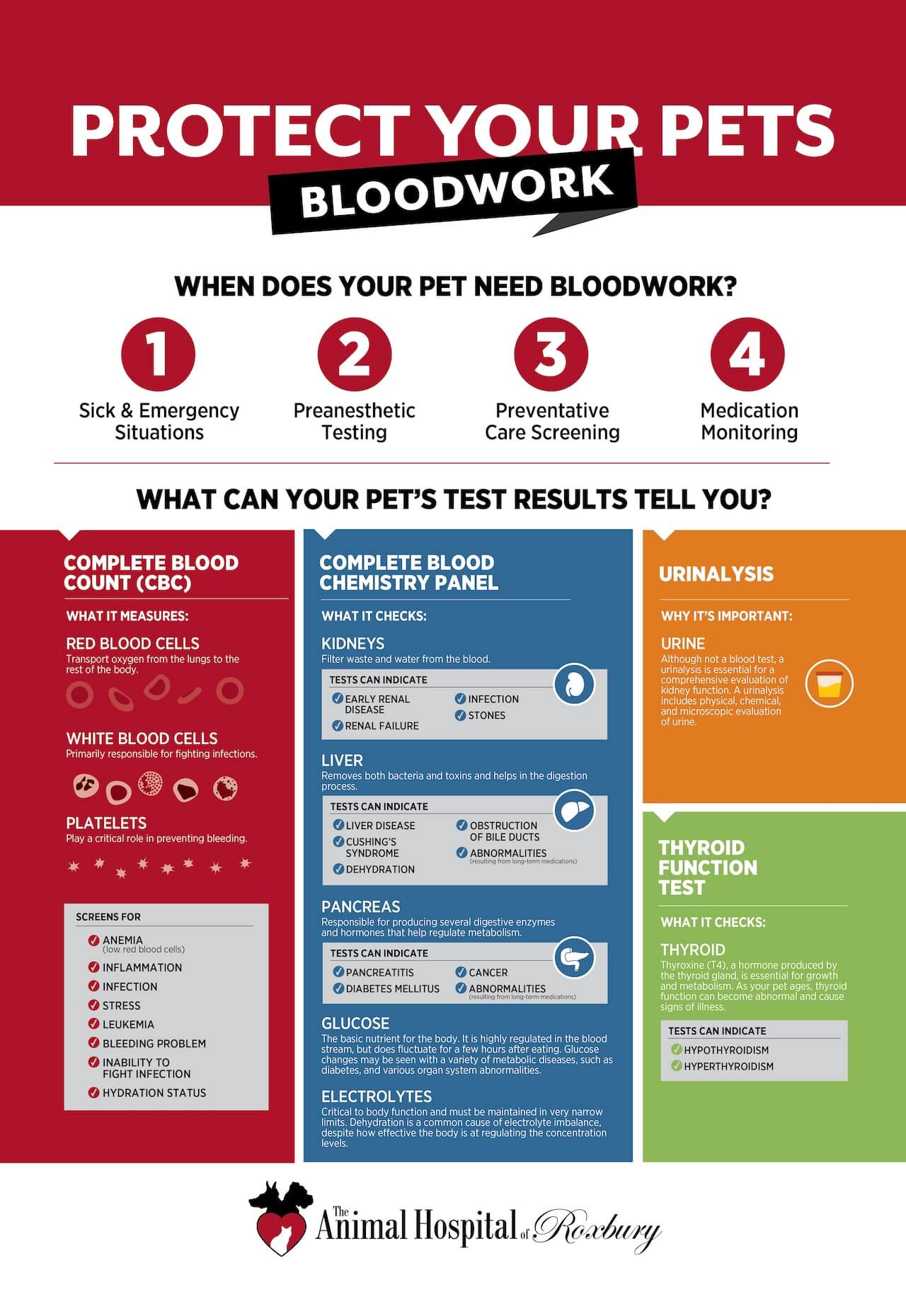 Blood work image 2