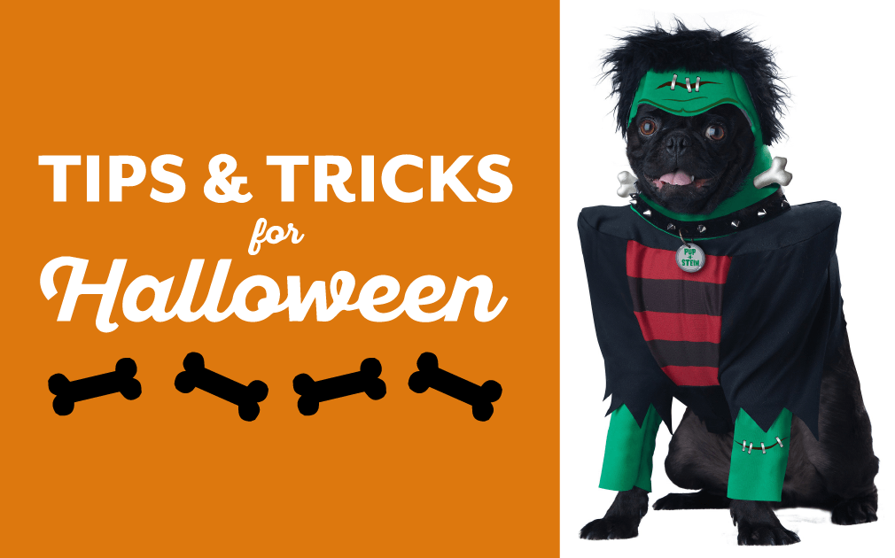 Tips & Tricks for Halloween