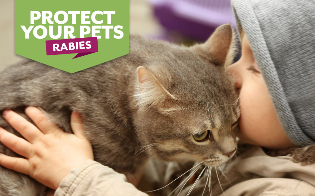 Keep your pets protected from Rabies!
